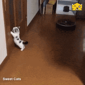 Animiertes GIF