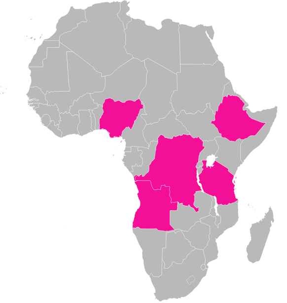 Die 5 Staaten mit der höchsten Kindersterblichkeit in Afrika