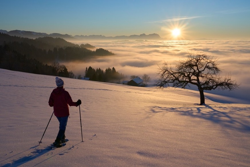 Schneeschuhtrails Schweiz