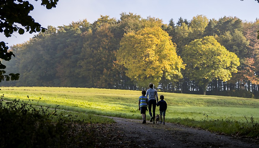 Eine Familie spaziert am herbstlich gefärbten Waldrand entlang, oberhalb von Winkel ZH. (Archivbild)