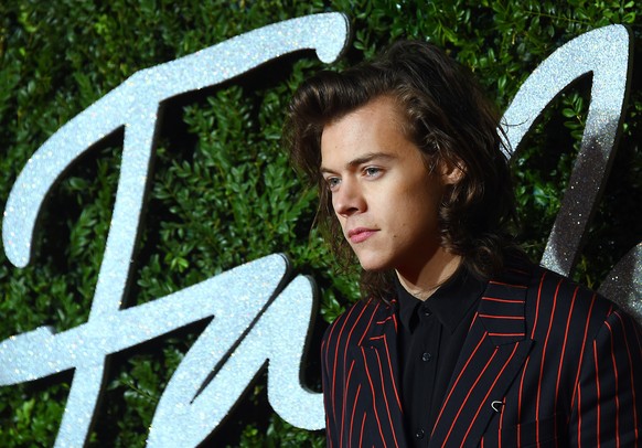 Harry Styles: Sein Vermögen soll 23 Millionen Dollar betragen – mit 20 Jahren.