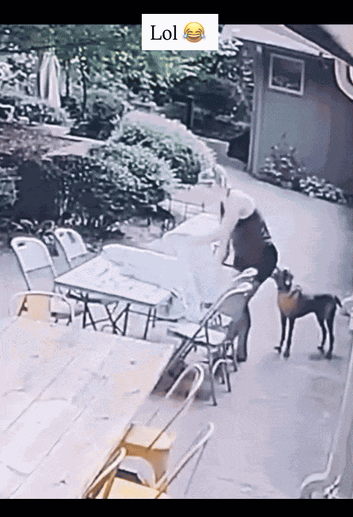 Animiertes GIF