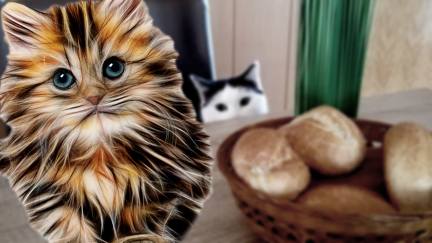 «Liebes Tagebuch, dieses Bild ist etwas ganz Besonderes!»