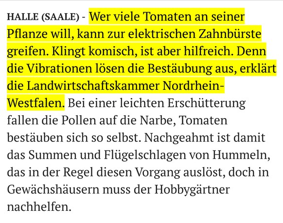 Es geht um eine halbe Million Euro â und dann kommt diese Lifehack-Frage
Aha.