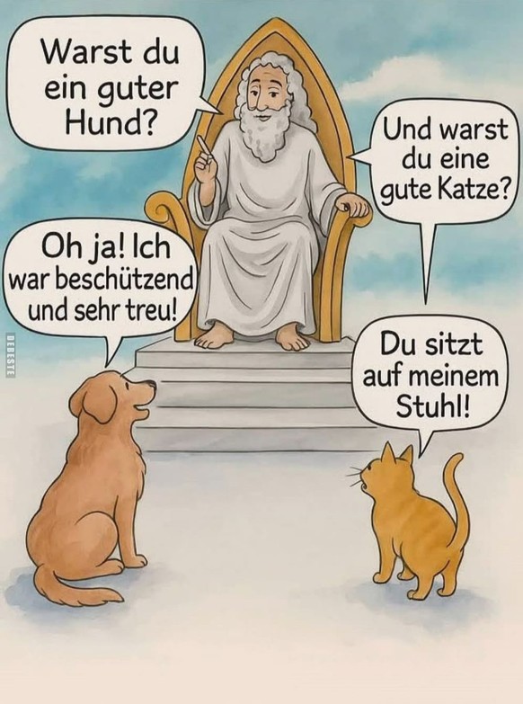 Picdump 168 – noch einmal Memes vor den grossen Ferien\n😹