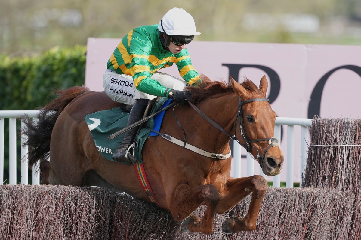 Winner of the third race, the Mares Chase, Dinoblue ridden by Mark Walsh clears the last fence on day four of the 2026 Cheltenham Festival in Cheltenham, England, Friday, March 13, 2026. (AP Photo/Dav ...