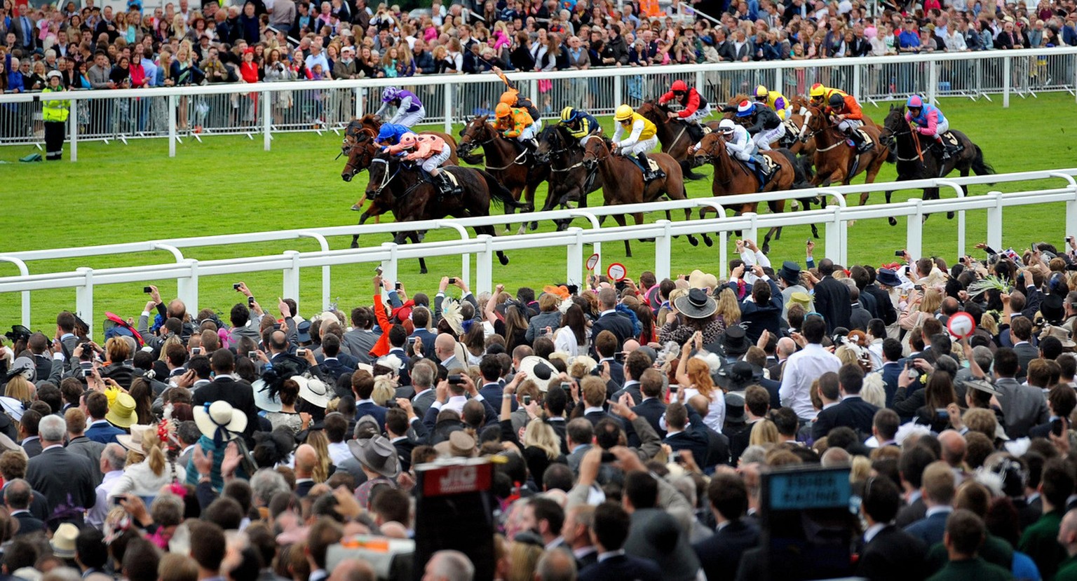 Black Caviar and jockey Luke Nolen lead the field during the Diamond Jubilee Stakes during day five of the 2012 Royal Ascot meeting at Ascot Racecourse, England Saturday June 23, 2012. Black Caviar wo ...