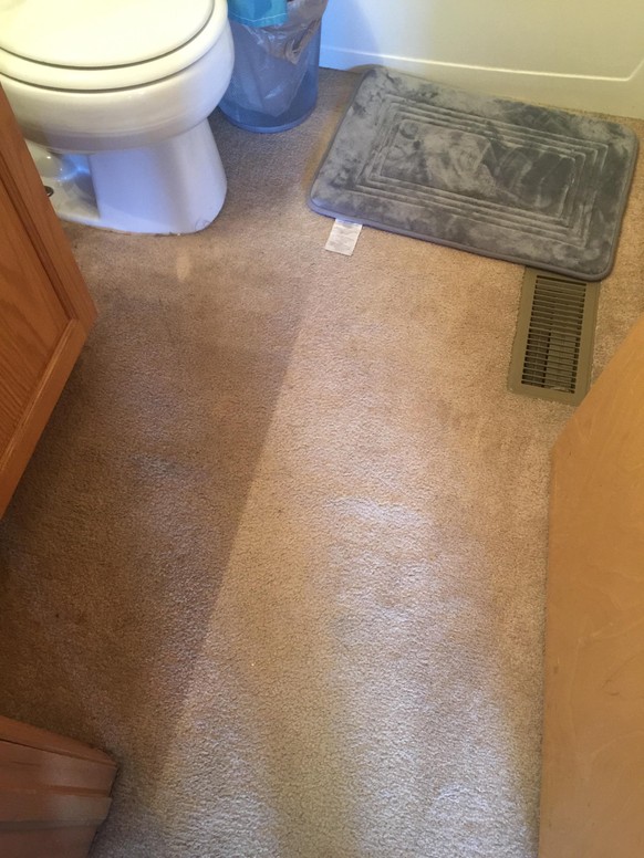 wc badezimmer spannteppiche teppich https://www.reddit.com/r/AskReddit/comments/5vzhtk/people_of_reddit_with_carpet_in_their_bathrooms/