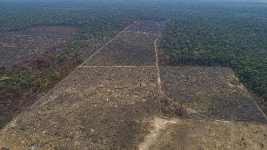 Land recently burned and deforested by cattle farmers stands empty near Canutama in Amazonas state, Brazil, Monday, Sept. 2, 2019. The Brazilian Amazon saw 30,901 fires in August, the highest for the  ...