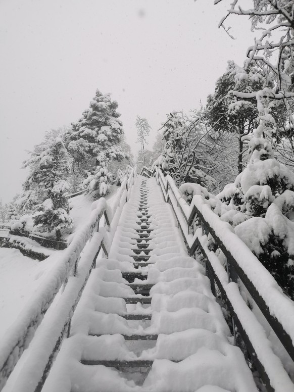 tel:
email:
Am Uetliberg.
Von: