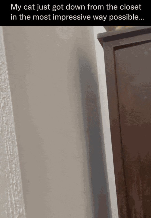 Animiertes GIF