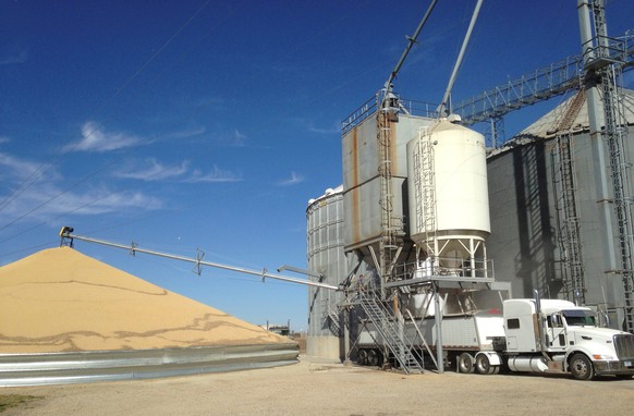 A truck is loaded with corn next to a pile of soybeans at Matawan Grain &amp; Feed elevator near New Richland, Minnesota, U.S. on October 14, 2015. REUTERS/Karl Plume/File Photo