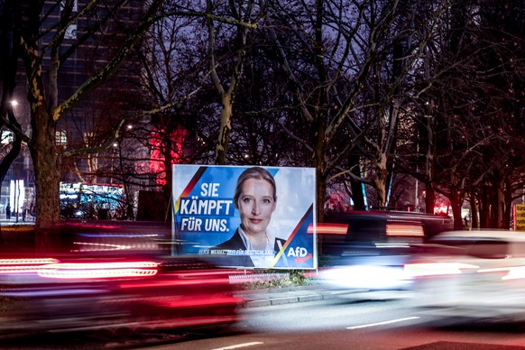 epa11831495 An election campaign poster of Alternative for Germany (AfD) party and faction co-chairwoman and top candidate for the federal election Alice Weidel is on display in Berlin, Germany, 17 Ja ...