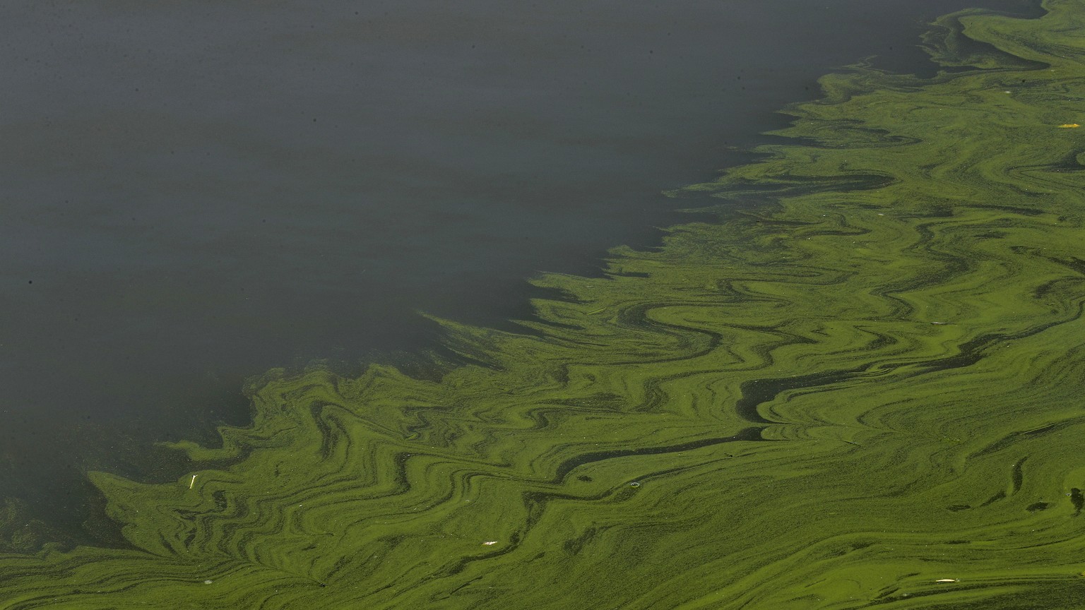 FILE - Algae floats on the surface of Lake Erie&#039;s Maumee Bay in Oregon, Ohio, Sept. 15, 2017. The Great Lakes have endured a lot the past century, from supersized algae blobs to invasive mussels  ...
