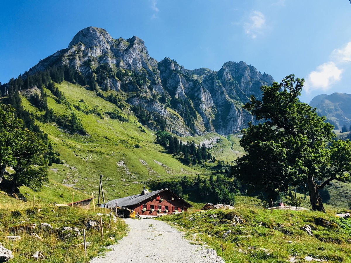 Alp Alp St. Antoni Brecca, Kanton Freiburg, Schwarzsee