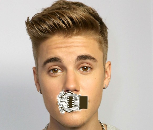 Zur Veranschaulichung der Bieber'schen Interpretation seines Flaums.