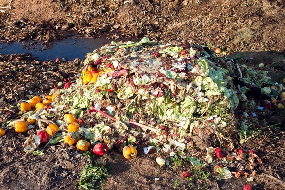 Food Waste um die Hälfte zu reduzieren, würde den Overshoot Day um 13 Tage nach hinten schieben.