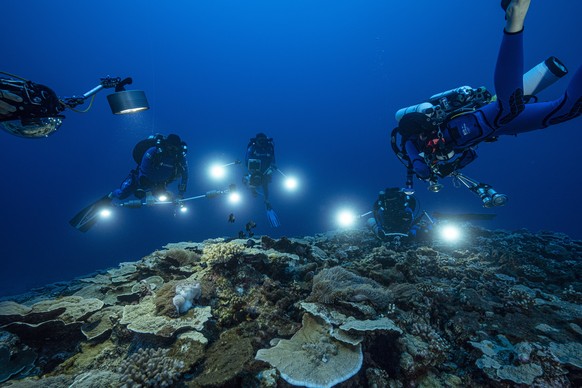 In this photo provided by @alexis.rosenfeld, researchers for the French National Centre for Scientific Research study corals in the waters off the coast of Tahiti of the French Polynesia in December 2 ...