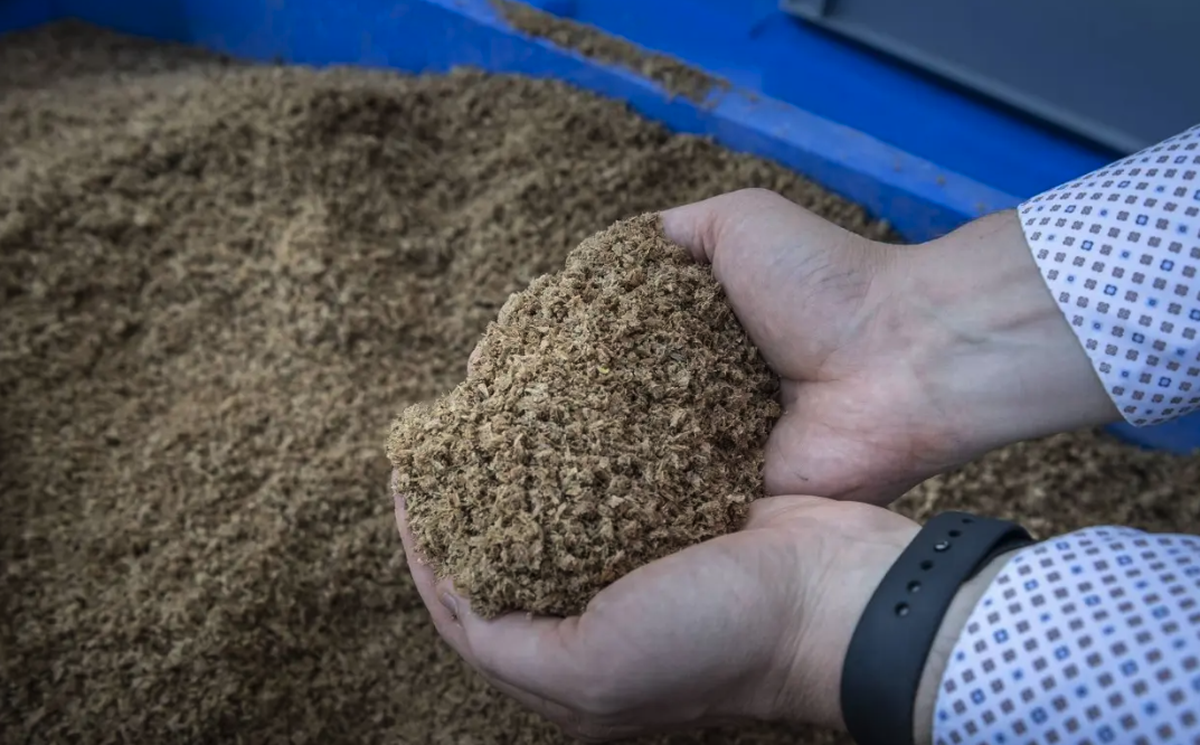 Migros va vendre des hamburgers à base de déchets de bière