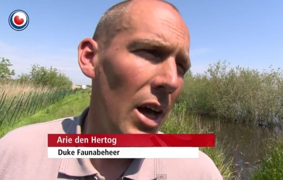 Gänsejäger aus Passion: Arie den Hertog,&nbsp;Chef der Firma Duke Faunabeheer.&nbsp;