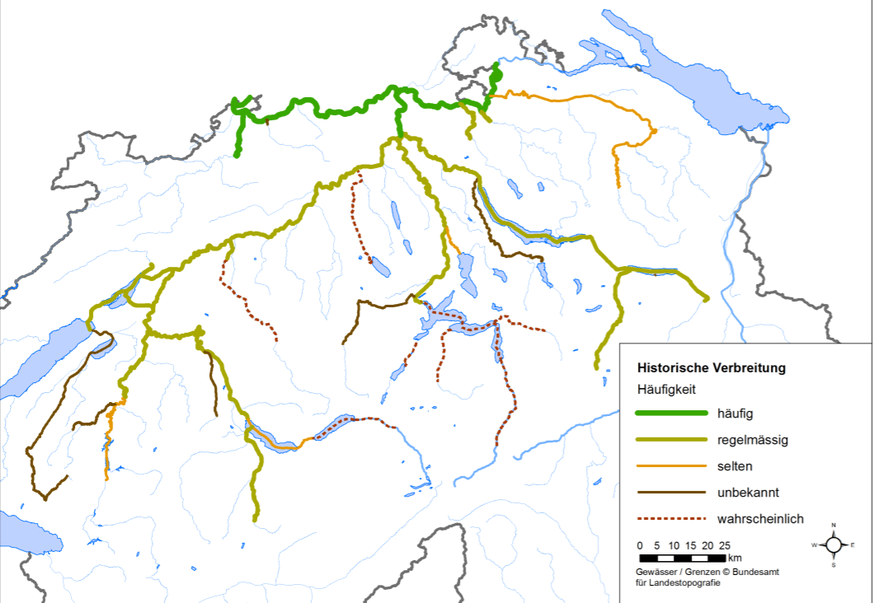 historische ausbreitung lachs