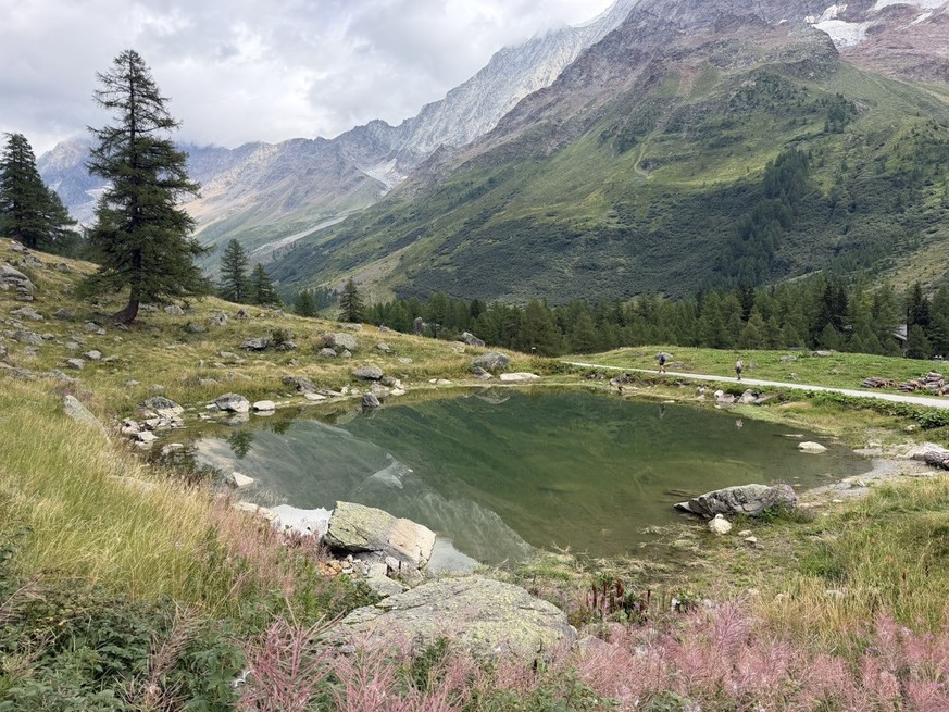 Lötschental Höhenweg Fafleralp lauchernalp Bergsturz Blatten 18. August 2026