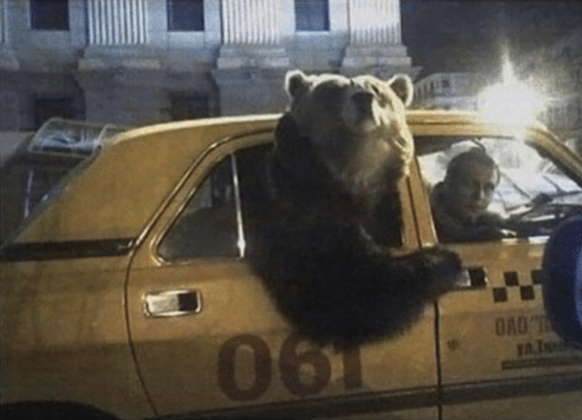 Bär Russland
Cute News
https://awwmemes.com/i/12603895