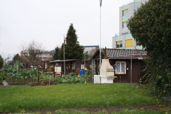 Tatort Schrebergarten: Das Häuschen von Markus H. aus dem Nachbarsgarten fotografiert.