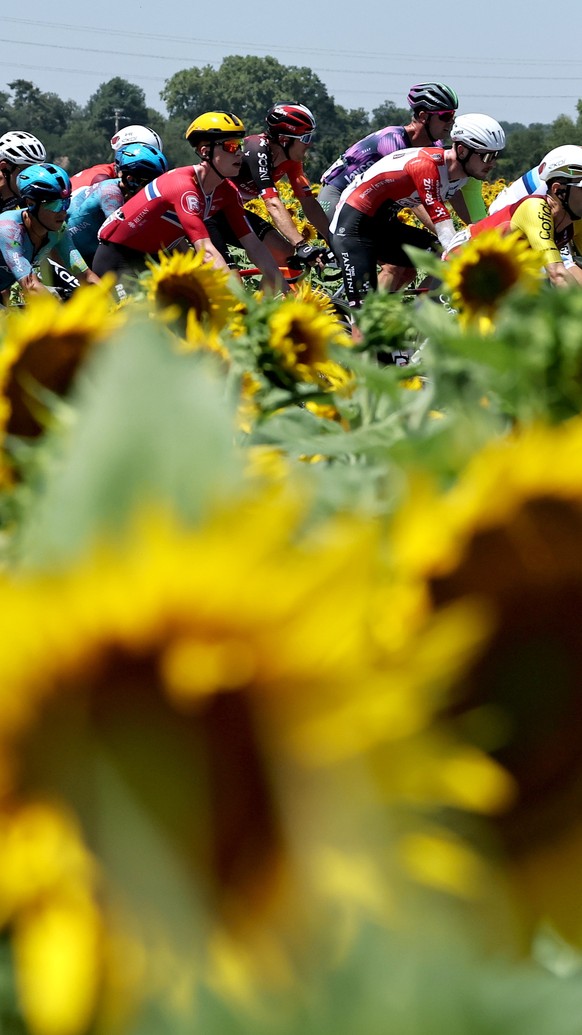 &lt;p&gt;Diese Fahrer haben 2025 an der Tour de France ein Teilstück gewonnen:&lt;/p&gt;