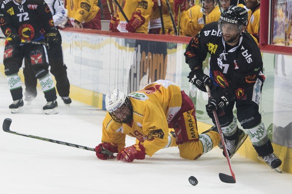 SCL Tigers Stuermer Pascal Berger, links, und SC Bern Stuermer Thomas Ruefenacht, rechts, kaempfen um den Puck, beim Eishockey Meisterschaftsspiel der NLA zwischen dem SC Bern den SCL Tigers und am Fr ...