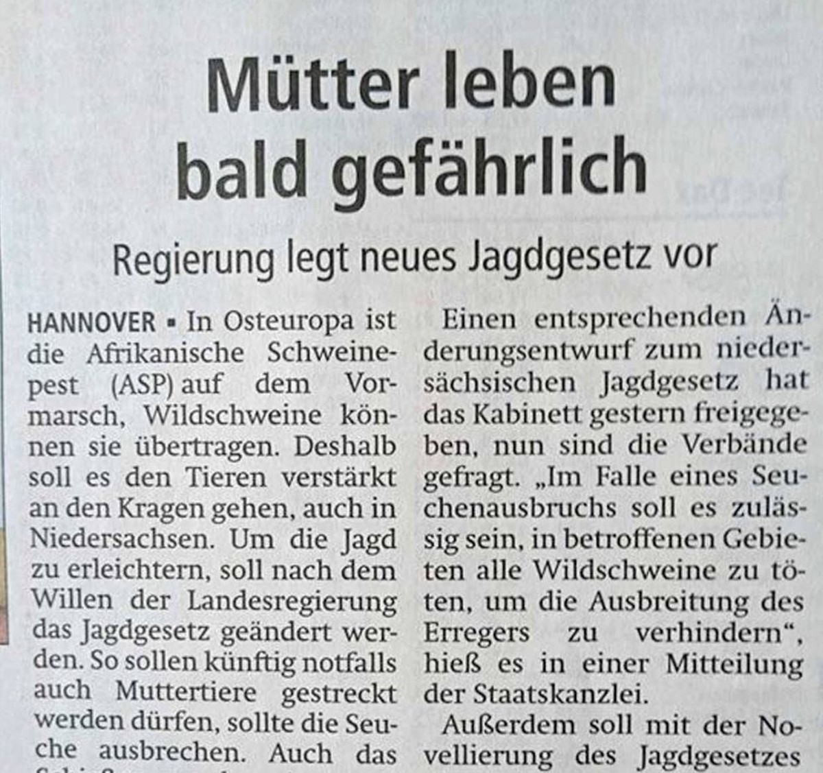 Bild