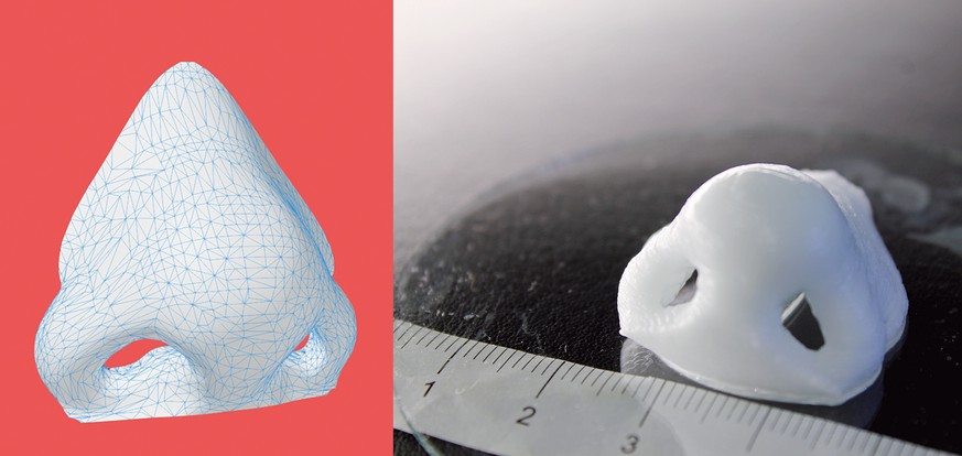Das Computermodell der Nase dient als Vorlage für den Bioprinter, der mit Hilfe medizinischer Daten die Nase naturgetreu aufbaut.&nbsp;