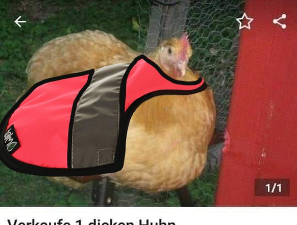 Omlet Doppelpack Warnweste für Hühner - Pink und Gelb : : Haustier