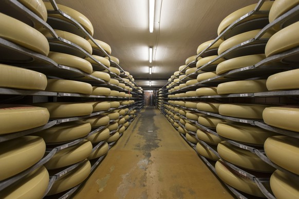 Emmentaler Kaese liegen in Regalen in einem Keller der Schaukaeserei, am Sonntag, 28. Dezember 2014 in Affoltern im Emmental. Bei oeffentlichen Fuehrungen werden den Besuchern die vier Kaeserei-Genera ...