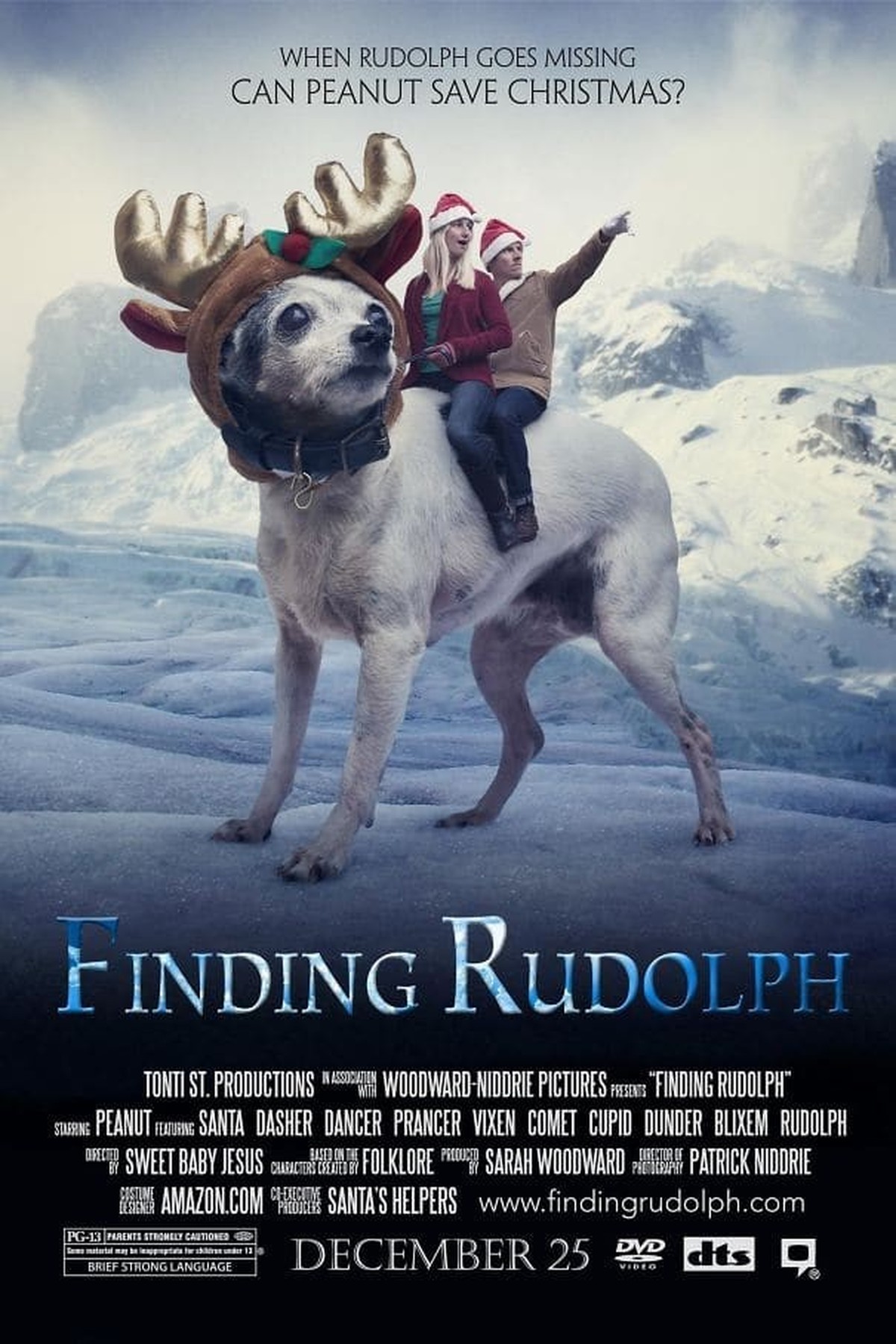 weihnachtskarten hund