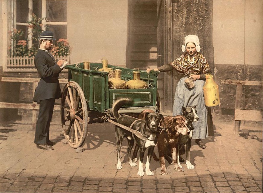 Es wurden auch Kuriositäten wie dieser Milchtransport mit Hunden in Belgien dargestellt.