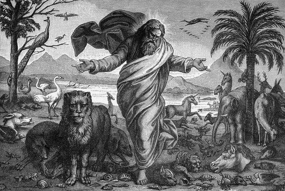 Fünfter Schöpfungstag, Gott der Schöpfer der Welt, Psalm 8, Altes Testament, Bibel, Tierwelt, Landschaft, Wasser, Berge, Palmen, Löwe, Vögel, historische Illustration 1890 *** fifth Creation Day, God  ...