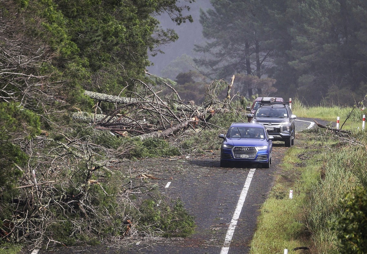 Cars dodge fallen trees on a road at Cook's Beach, east of Auckland, New Zealand, Tuesday, Feb. 14, 2023. The New Zealand government declared a state of emergency across the country's North  ...
