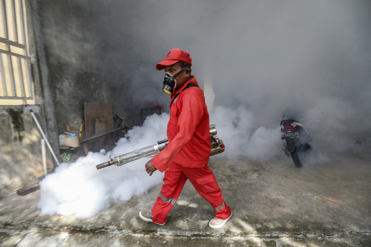 epa10948641 A worker fumigates with anti-mosquito fog to control dengue fever at a residential area in Banda Aceh, Indonesia, 30 October 2023. The Banda Aceh city government carried out fogging action ...