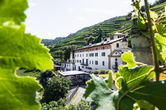 Weingut La Gatta im Veltlin