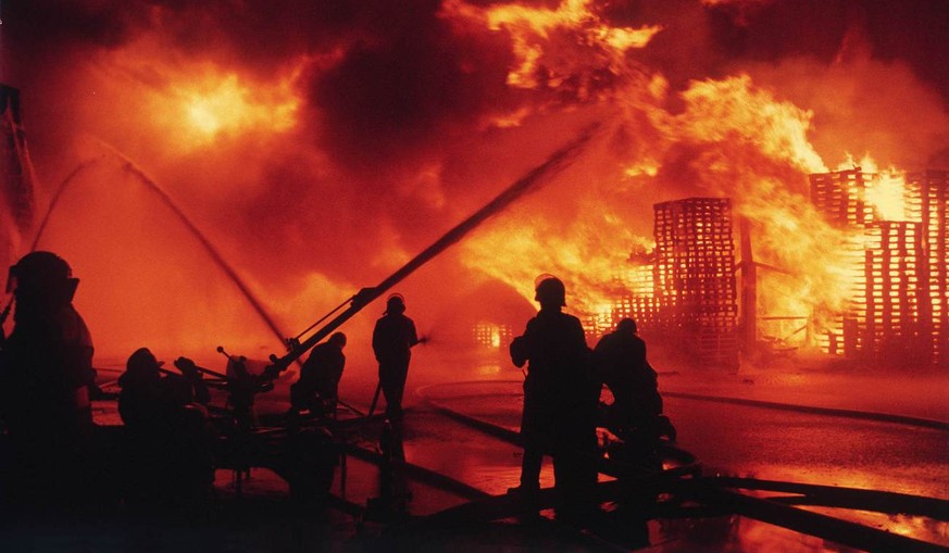 Unvergesslich ist der Schweizerhalle-Brand 1986: Das Löschwasser verseuchte den Rhein, unzählige Tiere starben in der Folge.