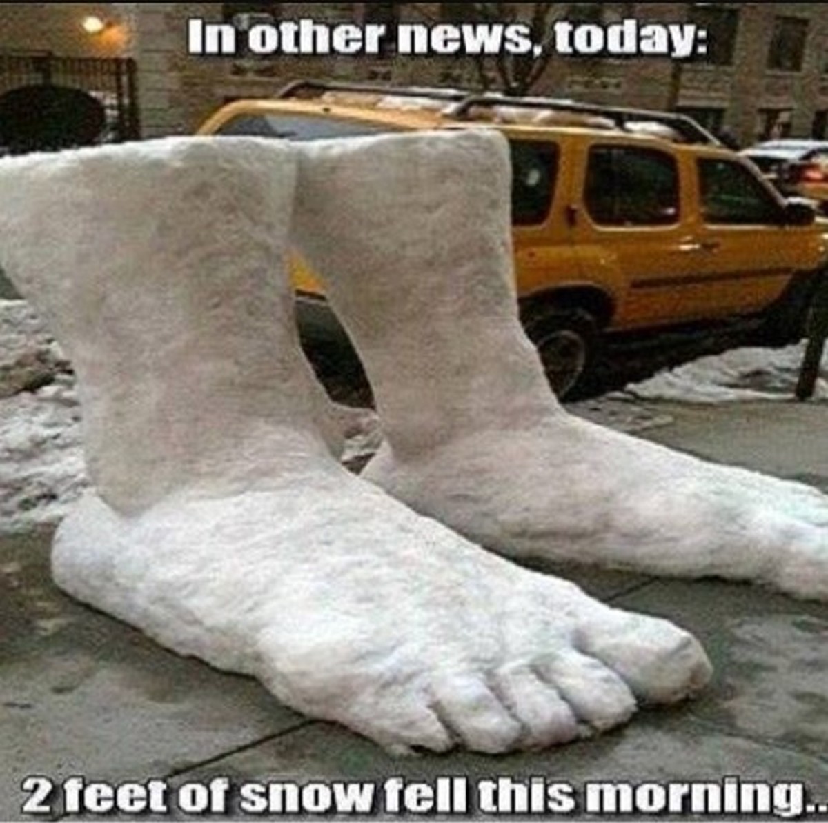 Winter Memes