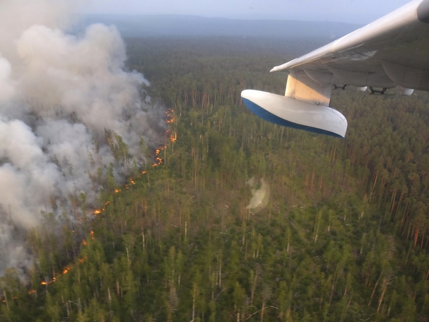 Ein Löschflugzeug bei seinem Einsatz im Kampf gegen die Flammen in Sibirien