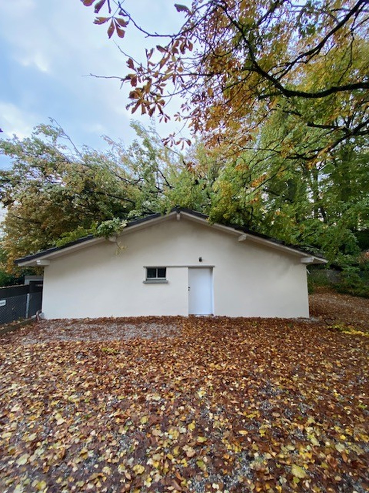 L'arbre est tombé sur les garages.