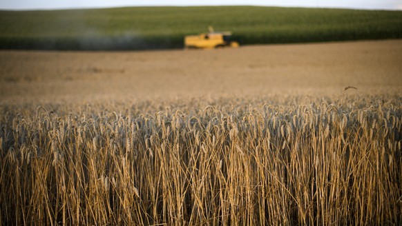Eine landwirtschaftliche Maschine ernet Weizen, am Freitag, 13. Juli 2018, in Stettfurt. Die Schweiz leidet unter einer Trockenperiode. Im Thurgau gilt seit heute Freitag ein Wasser-Entnahmeverbot aus ...