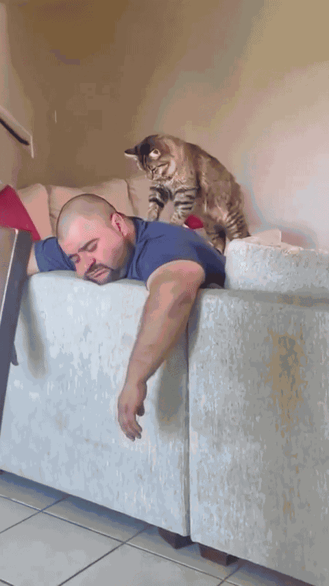Animiertes GIF