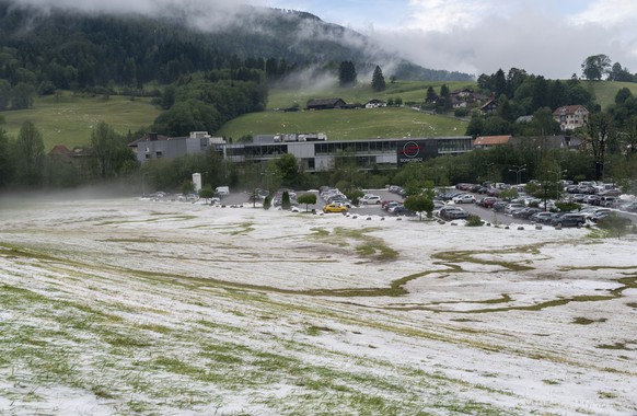 Am Tag danach sind Felder und Wiesen noch mit einer dicken Hagelschicht bedeckt. Am Mittwoch Abend, 23. Juni 2021 kam es zu starkem Hagel und Regen, das Unwetter brachte Ueberschwemmungen und grosse S ...
