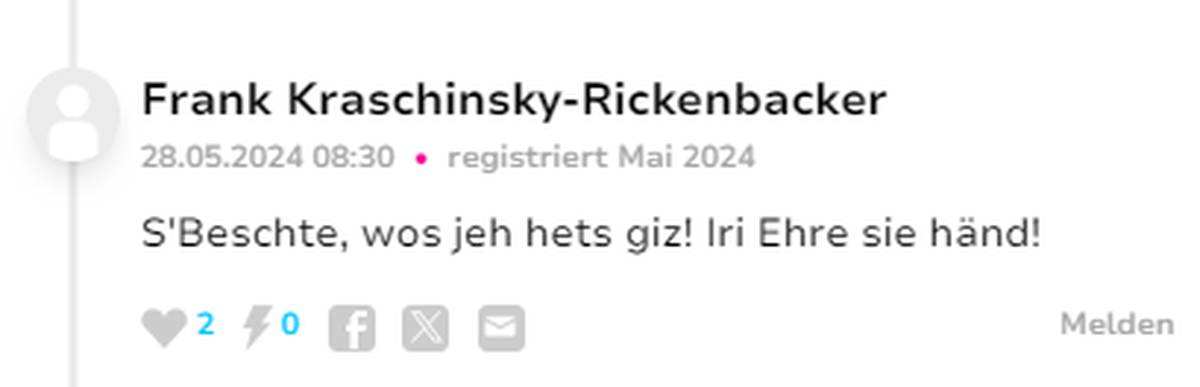 Jungedjargon watson Userinput