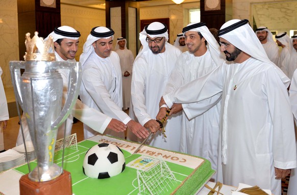 epa04202910 A handout picture released by Emirates News Agency (WAM) shows (L-R) Sheikh Abdullah bin Zayed the UAE the Foreign Minister, Sheikh Saif bin Zayed the Deputy Prime Minister and Minister of ...