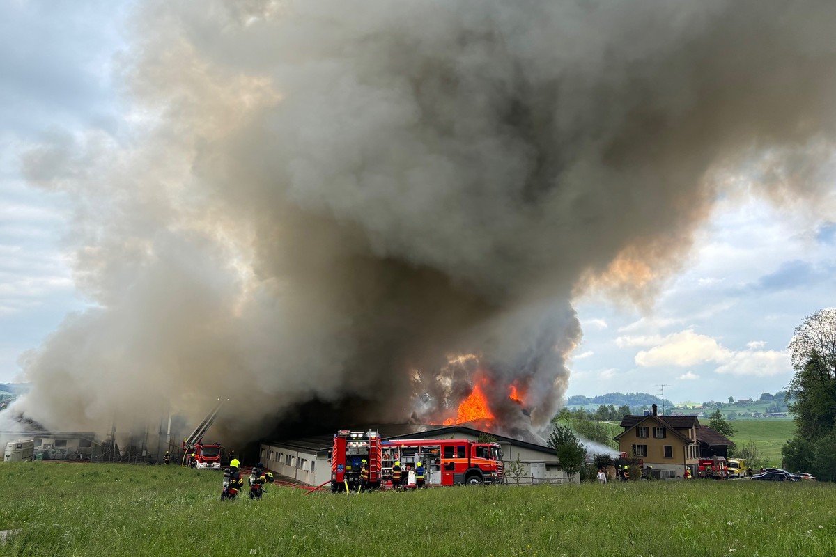 HANDOUT - Vollbrand in einem Schweinestall in Gossau, SG, am Mittwoch, 8. Mai 2024. Der Brand in einem der beiden Staelle konnte mittlerweile unter Kontrolle gebracht werden. Das angrenzende Wohnhaus  ...